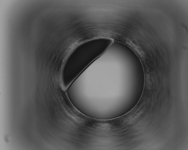 X0000093470203200710121018