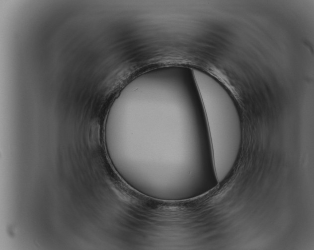 X0000093470205200710121018