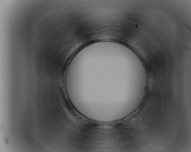 X0000093470208200710121018
