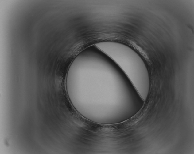 X0000093470209200710121018