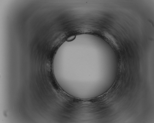 X0000093470210200710121018