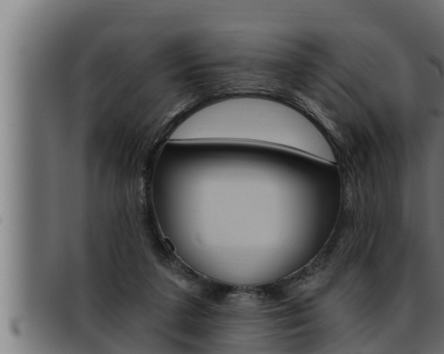 X0000093470211200710121018