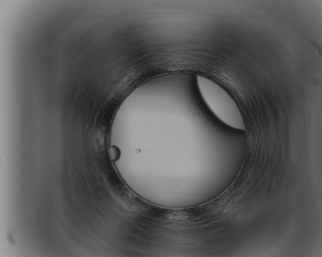 X0000093470214200710121017