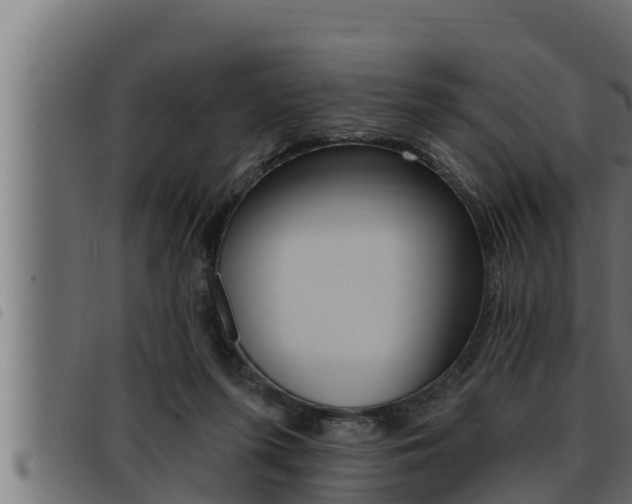 X0000093470215200710121017