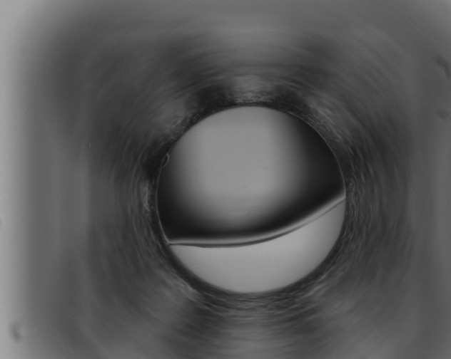 X0000093470219200710121017