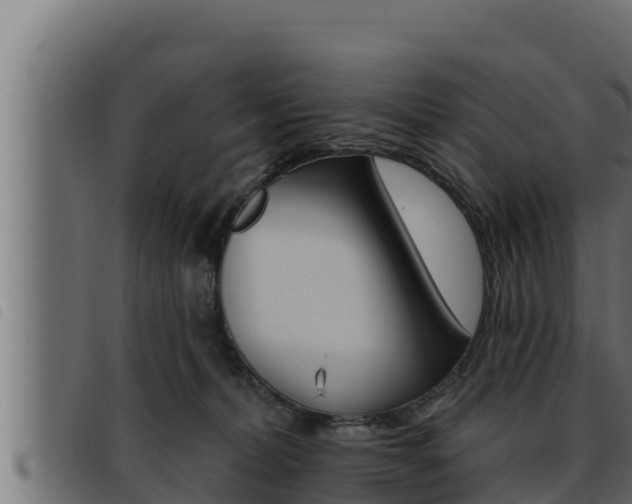 X0000093470228200710121017