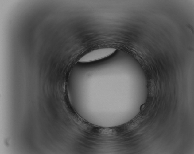 X0000093470230200710121017
