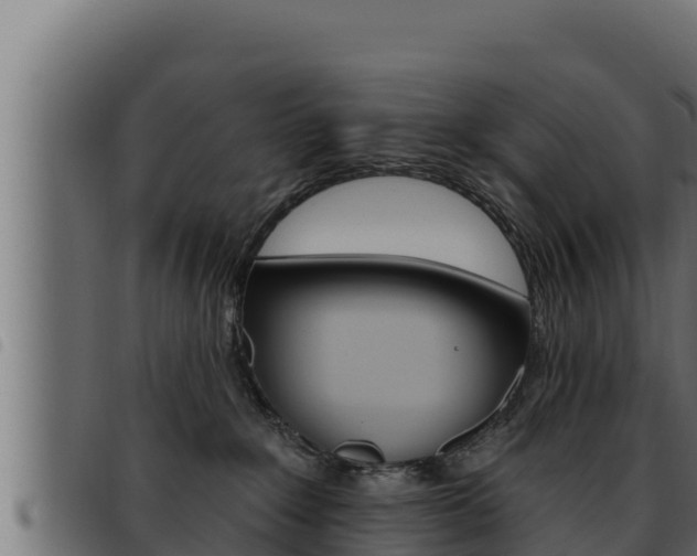 X0000093470235200710121017