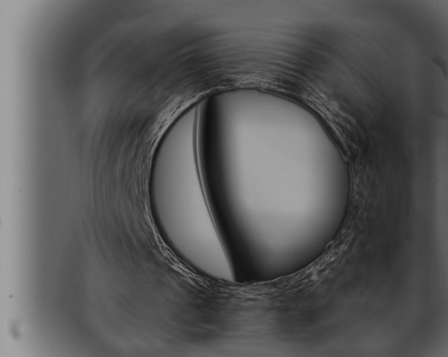 X0000093470241200710121016