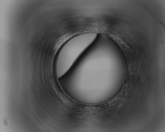 X0000093470242200710121016