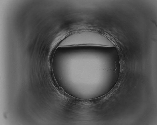 X0000093470245200710121017