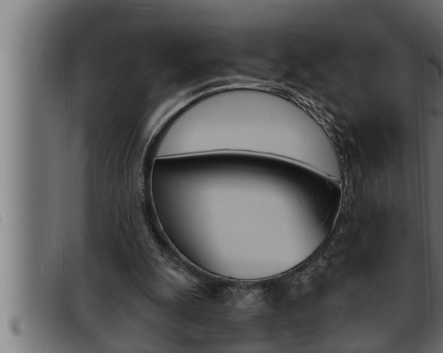 X0000093470247200710121017