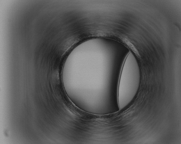 X0000093470251200710121017