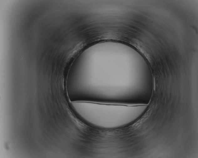 X0000093470253200710121017