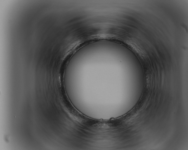 X0000093470254200710121017