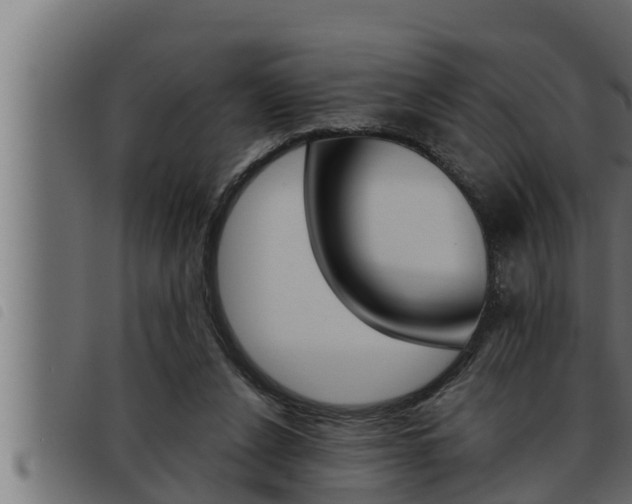 X0000093470256200710121017
