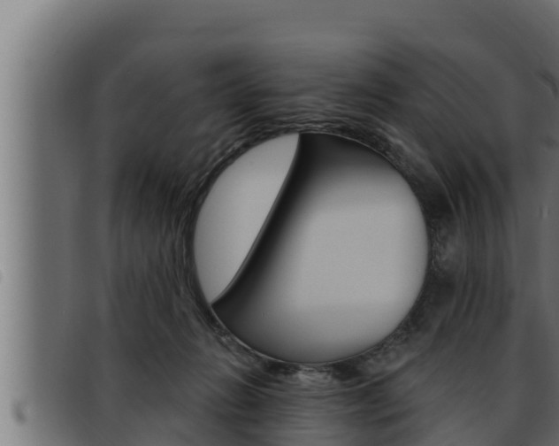X0000093470270200710121017