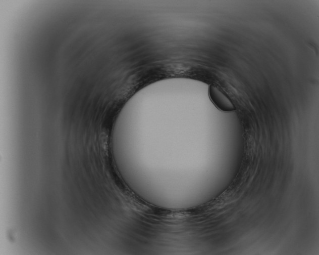 X0000093470274200710121017