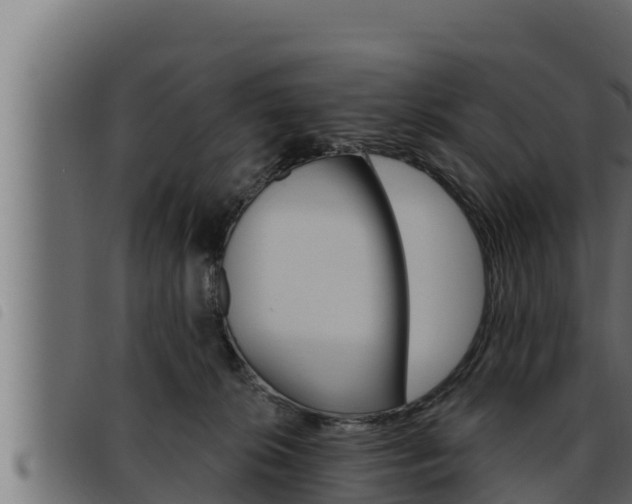 X0000093470276200710121017