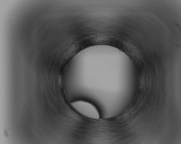 X0000093470278200710121017