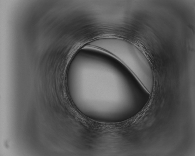 X0000093470289200710121016