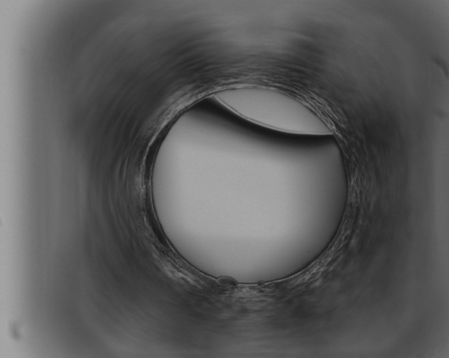 X0000093470290200710121016