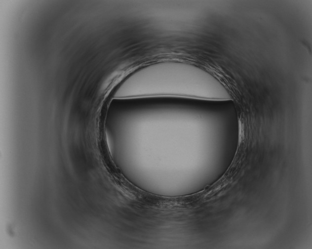 X0000093470291200710121016