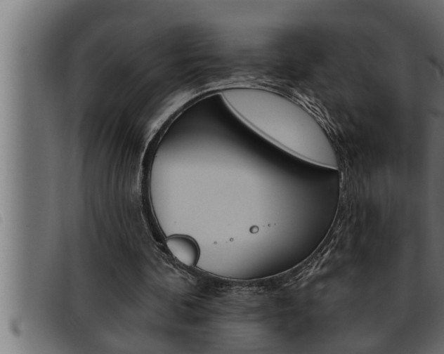 X0000093470292200710121016