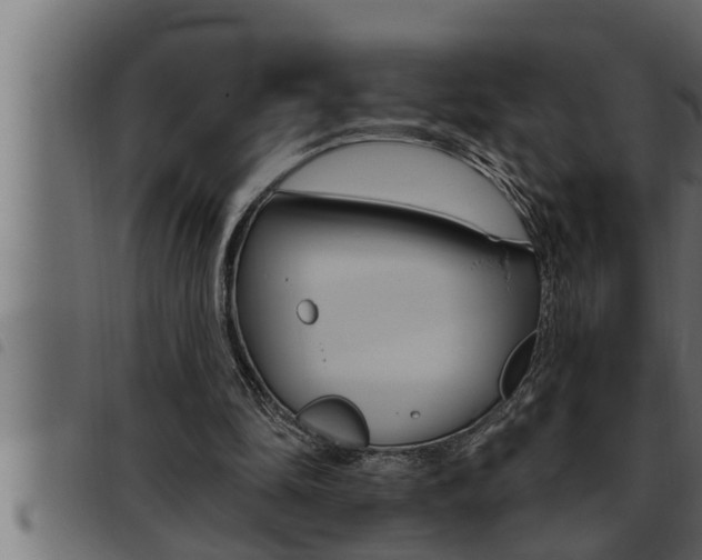 X0000093470294200710121016