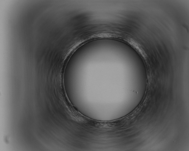 X0000093470297200710121016