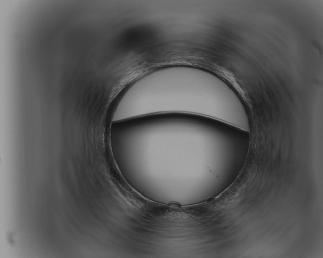 X0000093470299200710121016