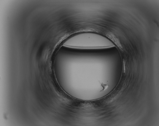 X0000093470300200710121016