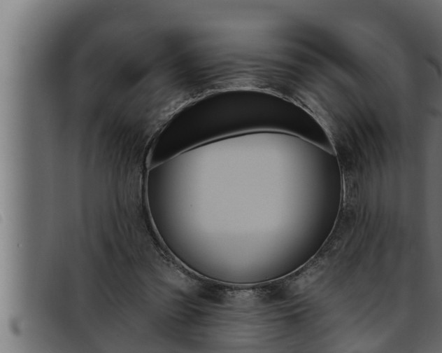 X0000093470301200710121016