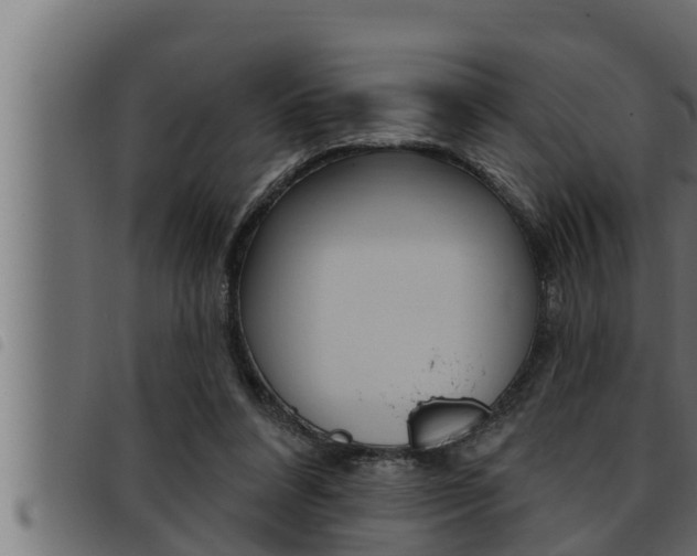 X0000093470304200710121016