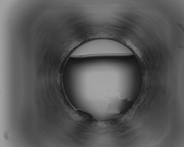 X0000093470305200710121016