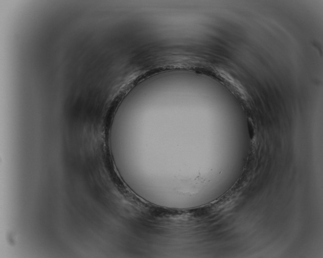 X0000093470306200710121016