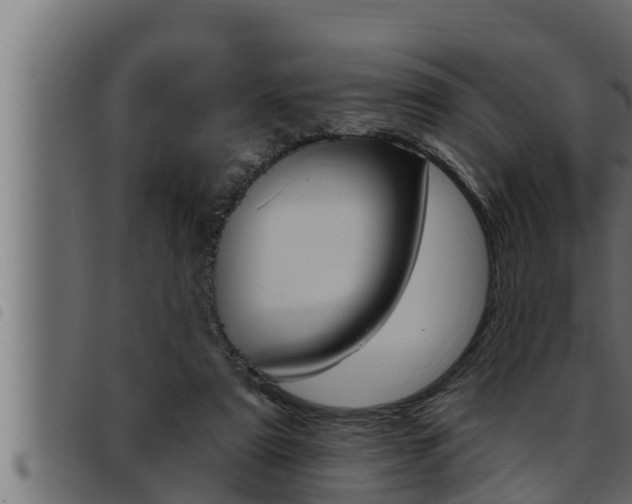 X0000093470307200710121016