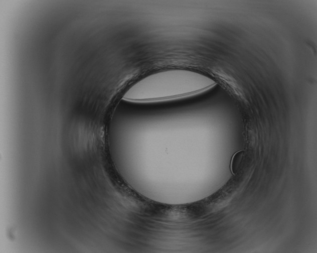 X0000093470308200710121016