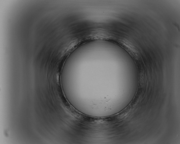 X0000093470310200710121016