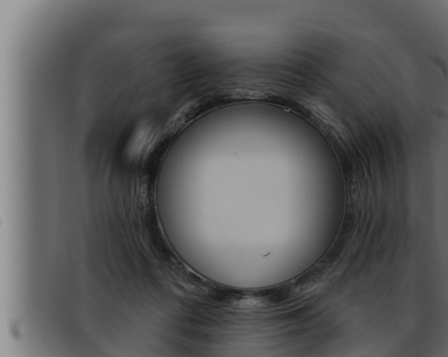 X0000093470312200710121016