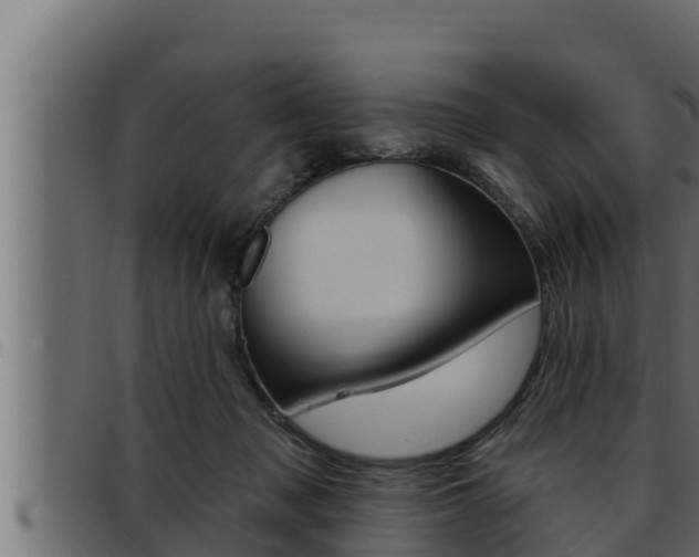 X0000093470317200710121016