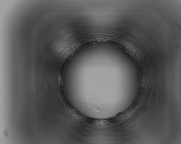 X0000093470321200710121016