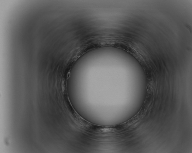 X0000093470323200710121016