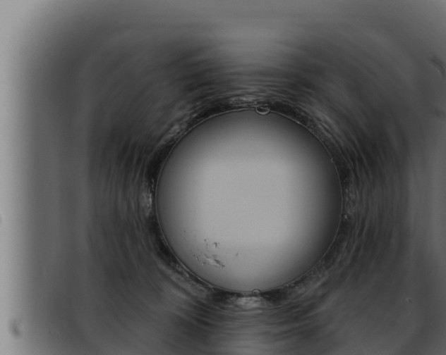 X0000093470324200710121016