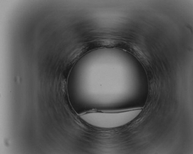 X0000093470325200710121016
