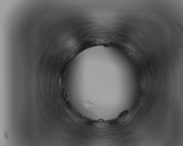 X0000093470327200710121016