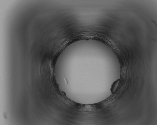 X0000093470330200710121016