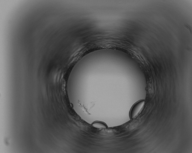 X0000093470332200710121016