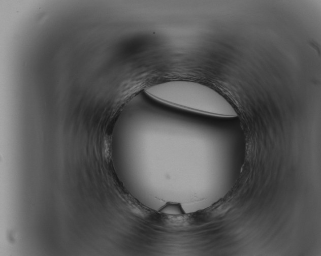 X0000093470335200710121016