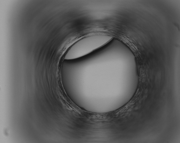 X0000093470338200710121015